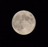 DSC_0002.jpg