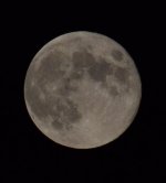 DSC_0006.JPG