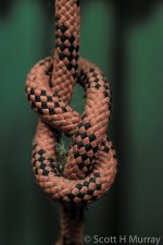 SHM_1541.jpg