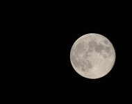 DSC_2053.jpg
