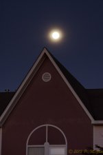 DSC_4050.jpg