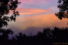 DSC_4055.jpg