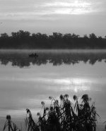 Misty Morning.jpg