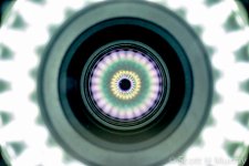 SHM_1734.jpg