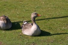IMG_0001.JPG