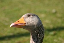 IMG_0011.JPG