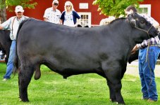 D5100 18-105 FAIR 177.jpg