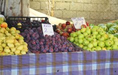 Fruit in the Market.jpg