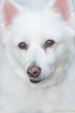 DSC_4099.jpg