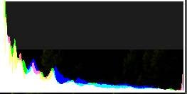 Histogram busses.jpg