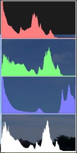 Histogram apelfest.jpg