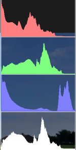 Histogram apelfest third.jpg