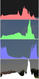 Histogram apelfest third.jpg