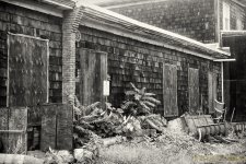 DSC_4135-Edit.jpg