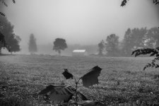 DSC_4104-Edit.jpg