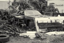 DSC_4132-Edit.jpg