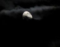 DSCN9634.jpg