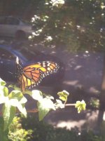 2013-09-23 10.12.49.jpg