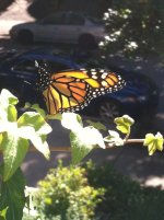 2013-09-23 10.12.53.jpg