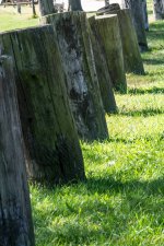 DSC_4156.jpg
