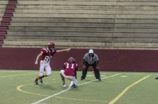 DSC_8304.JPG