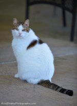 DSC_6213.jpg