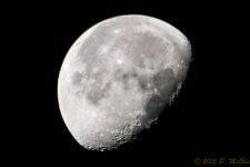 DSC_4169.jpg