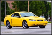 Day267Mustang.jpg