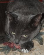 267 Buster-130925_1.jpg