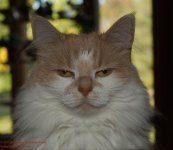 267 Creature-130925-01_1.jpg