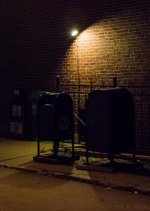 DSC_4261.jpg