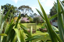 Garden.jpg