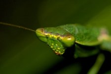 DSC_2727.jpg