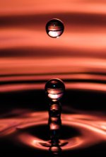 feb25 water-463-5.jpg