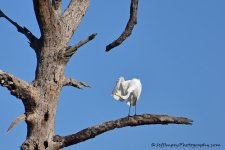 DSC_6244.jpg