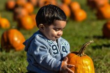 angel pumpkin.jpg