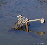 DSC_1370.jpg