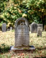 DSC_6010_8768_tonemapped-3.jpg