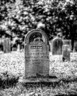 DSC_6010_8768_tonemapped-2.jpg