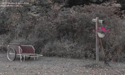 271 Backyard-130929-01_1.jpg