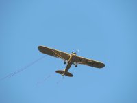 DSCN9508.jpg