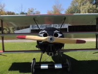 DSCN9287.jpg