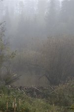 NIK_5031_2.jpg