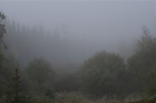 NIK_5034.jpg