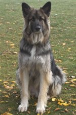 NIK_5039.jpg