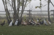 NIK_5048.jpg