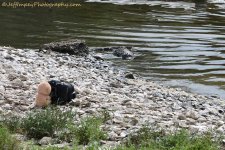 DSC_6685.jpg