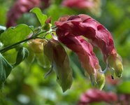 DSC_3296.jpg