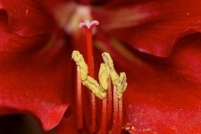 DSC_2759.jpg