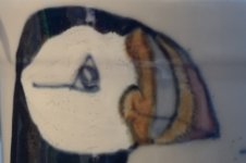 Puffin +10.JPG